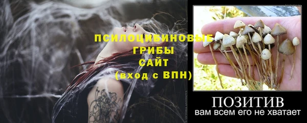 Альфа ПВП Пересвет